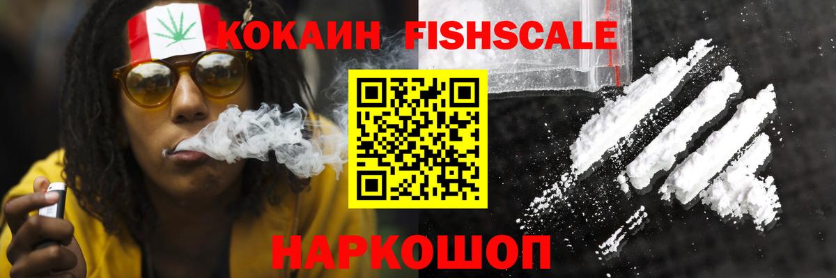 A PVP Россошь