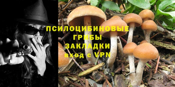 герыч Осинники